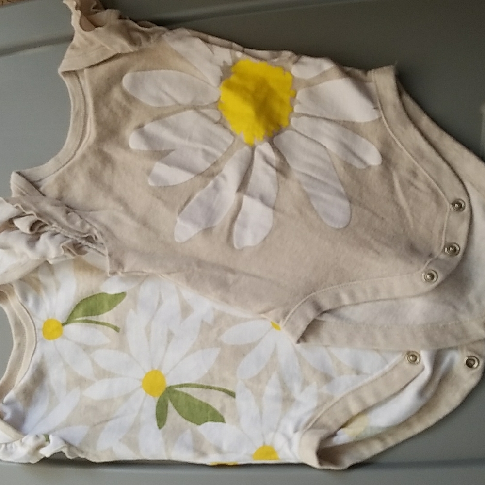 6/9 month onsies. set of two